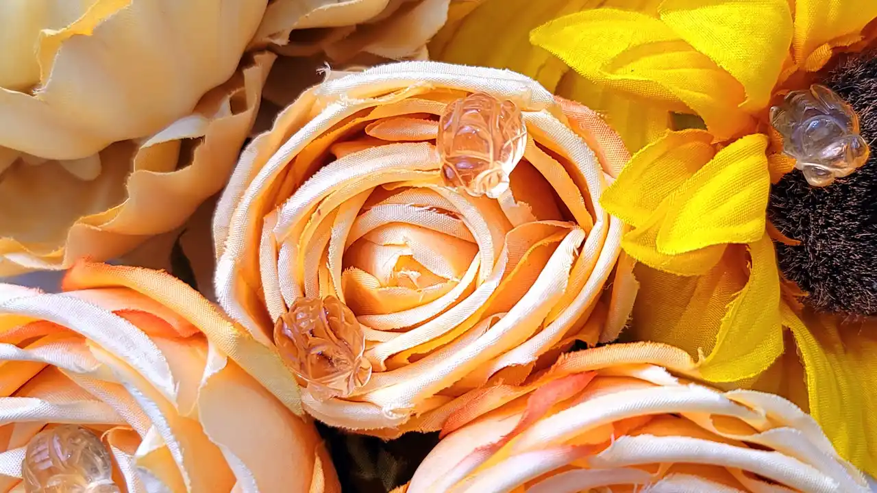 Easy, Two-Ingredient Pulled Pork